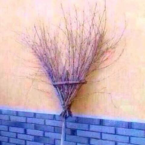 calljames1969's profile picture. 