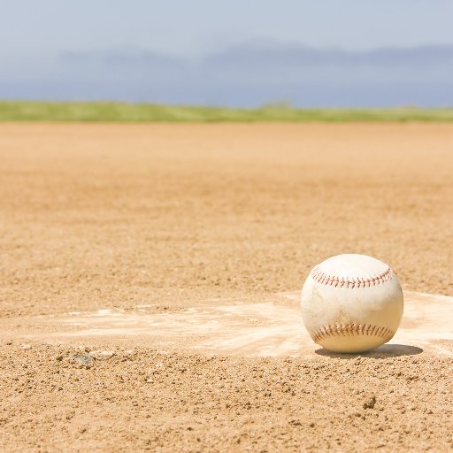 Writer, baseball lover, fighter for social justice.