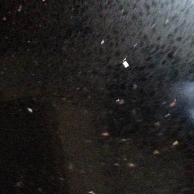 walker18732964's profile picture. All views are my own