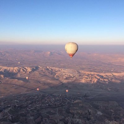 readwrite33's profile picture. 