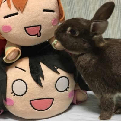 Choco_Otterさんのプロフィール画像