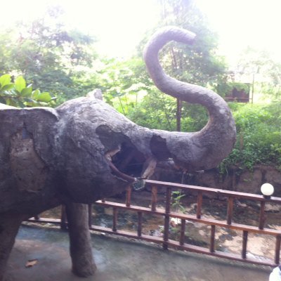 Nalilucha's profile picture. Born to communicate, I am giving a practical meaning to my profession as a journalist, facing challenges and jumping into the world of international solidarity.