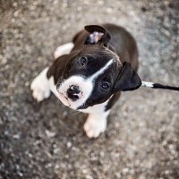 jürgen Väth (@jrgenvth) 's Twitter Profile Photo