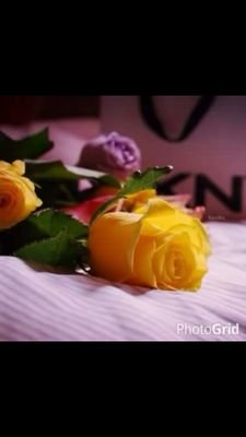 ‏يكَابر وهو لاشافني،يفقِد موازينه. .                     




 
♡♡