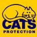 Cats Protection SNE (@cpsnwe) Twitter profile photo Cats Protection SNE (@cpsnwe) Twitter profile photo