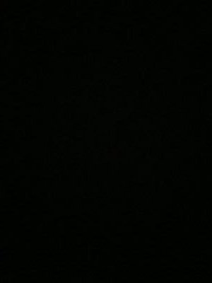 Jericaidan's profile picture. smarter than the average bear