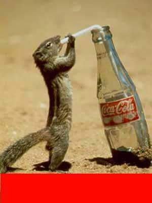 Cmbaashe1's profile picture. health worker based on hargiesa