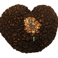 Pura Trufa de Soria (@encitruf) 's Twitter Profile