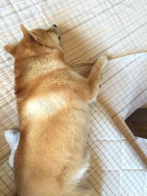 HrmxxXx310's profile picture. コスメや日々の出来事をツイートしています♪コスメ・モニター・懸賞好きな方、その他の方もフォローしていただけたら嬉しいです♥ アメブロ相互フォロー大歓迎★