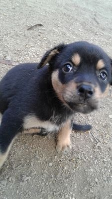 MarinaD34204122's profile picture. posting my sisters arts and yours
.......................................................
just send your art and I'll do the dirty work
I even post memes!!