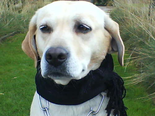 alexandrafrench's profile picture. 