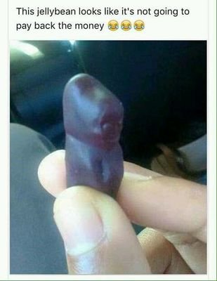 nunujib's profile picture. 