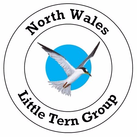 Community group supporting Little Terns in North Wales. In partnership with Denbighshire Countryside Services.