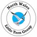 NW LITTLE TERN GROUP (@nw_little_tern) Twitter profile photo NW LITTLE TERN GROUP (@nw_little_tern) Twitter profile photo
