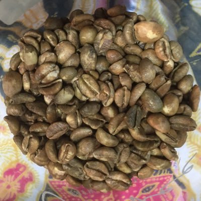 InfoGcw's profile picture. #Blog Autourducafeblog Le café, pas seulement une boisson, mais d'abord une plante qui deviendra un arbre…parlons de tout démocratiquement #café #coffee