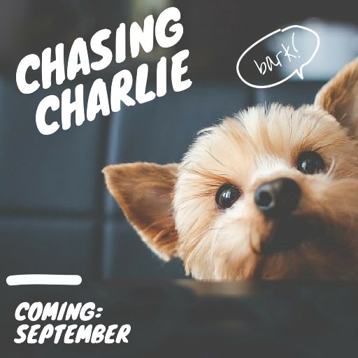 We've set out to create the best hand-crafted leashes and collars your best friend could imagine.