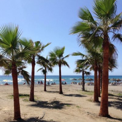 xcasey_lx's profile picture. 