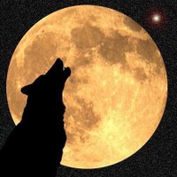 Lone Wolf(@LoneWolfOO7) 's Twitter Profile Photo