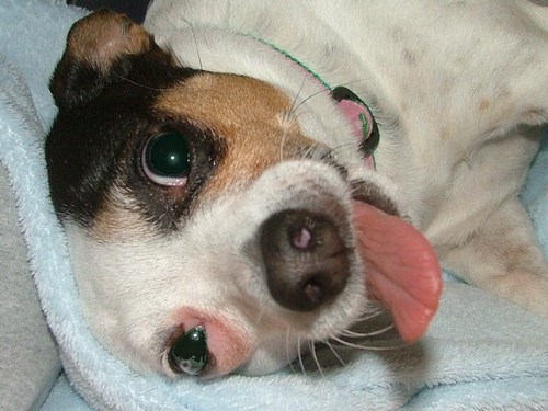 jonesn207's profile picture. 