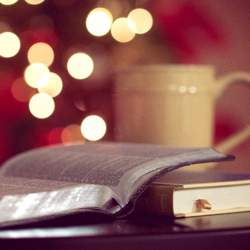 FreeSignedBooks's profile picture. 