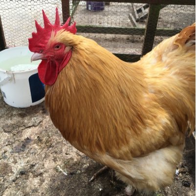 noneedto_'s profile picture. bitcoin