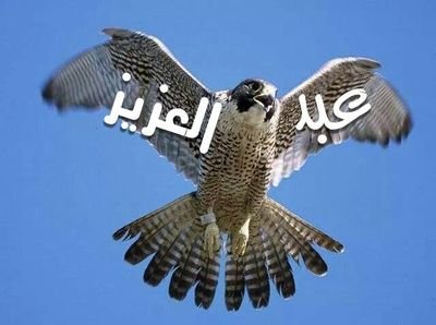 ‏يارب لك الحمد دائماوابدا الحمدلله