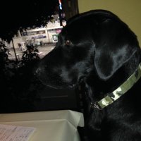 ISABEL1119 (@isabel111911) 's Twitter Profile