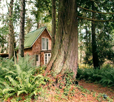 The Cedars Cottage beckons you to indulge in the peacefulness that is the inevitable result of a stay on Lily Point. (360) 945-0383