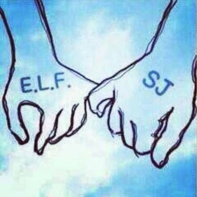 ELF_Lidia's profile picture. SUPER JUNIOR- STRAY KIDS