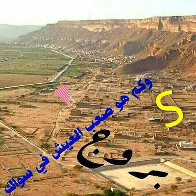 ‏سبحان الله وبحمده سبحان الله العظيم