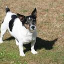 Paul Sher - @dageni - Twitter