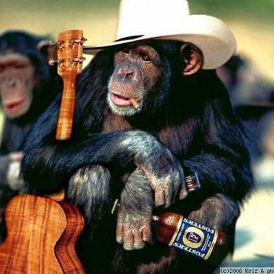 a singer/songwriter who has honed his craft in the beer joints, ice houses, and road side honky-tonks as well as the finer listening rooms of the big cities