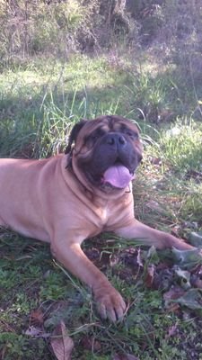 cristian_itri's profile picture. 