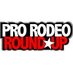 Pro Rodeo Roundup (@prorodeoroundup) Twitter profile photo Pro Rodeo Roundup (@prorodeoroundup) Twitter profile photo