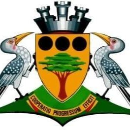 NgakaModiriMolemaDM Profile