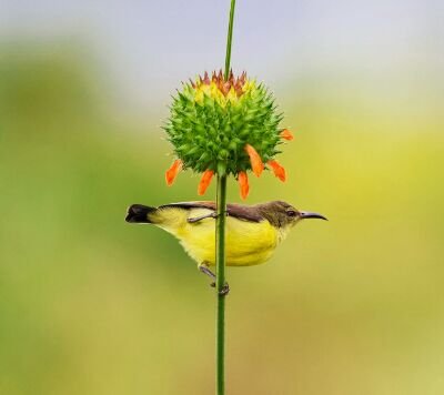 Darpan24x7's profile picture. अगर आपने जीवन में एक भी पेड़ नही लगाया .... तो आपके अंतिम संस्कार के लिए प्रकृति से लकड़ी लेने का आपका कोई नैतिक अधिकार नही बनता ...