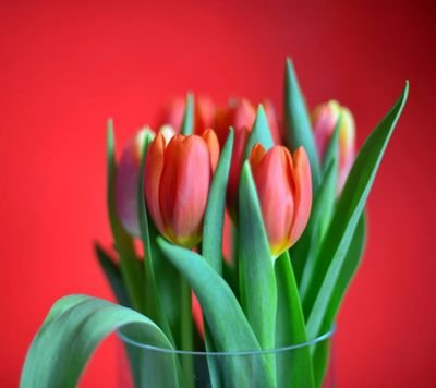 Mirror24x7's profile picture. 