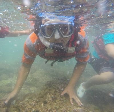 WahyuMiftahulH2's profile picture. web programming