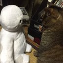 植田 郁 (@01Funkyboy) Twitter