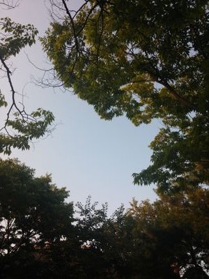 act_musical's profile picture. 나라다운 나라, 사람다운 사람.