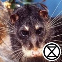 Clare Hawkins (@ottercivet) 's Twitter Profile Photo
