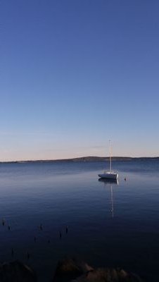 reactanddebate's profile picture. 