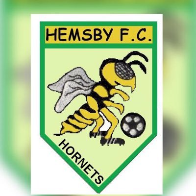 hemsbysundaysfc Profile Picture