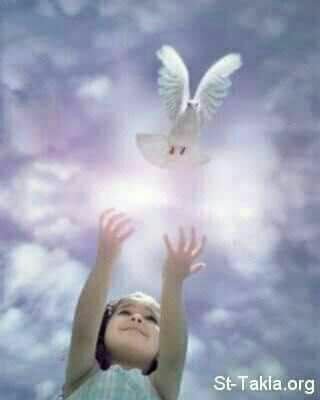 alimobarkalarw1's profile picture. 