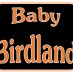 Baby Birdland (@babybirdland) Twitter profile photo Baby Birdland (@babybirdland) Twitter profile photo