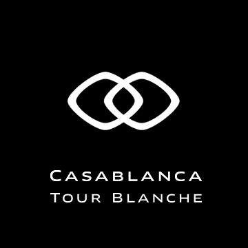 Image result for Sofitel Casablanca Tour Blanche, Morocco