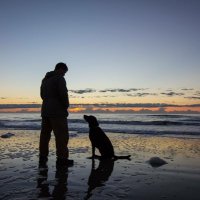 Robert Kugler (@robkugler) 's Twitter Profile