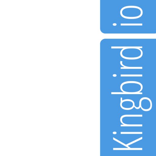 kingbirdio's profile picture. 