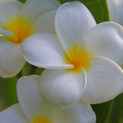 KaralynJ's profile picture. 