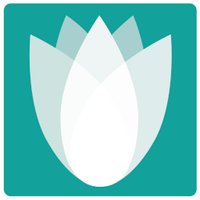 Turquoise Harmony (@turquoisehi) 's Twitter Profile